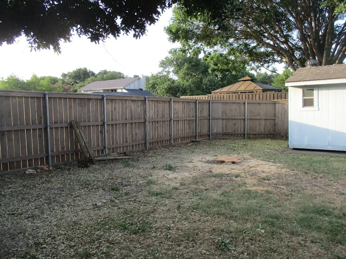 Cleared yard after professional tree removal in Port Gibson